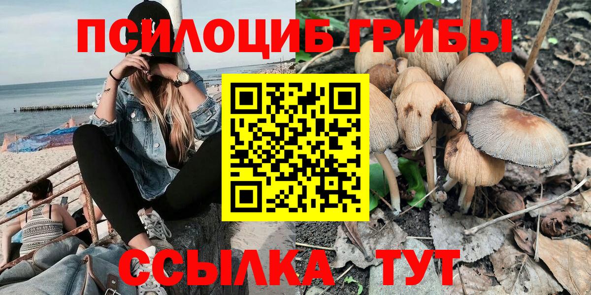 Галлюциногенные грибы Cubensis Новокуйбышевск